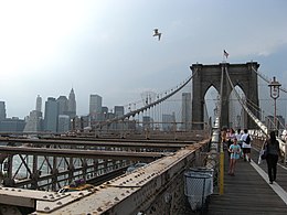 A bird soars over the Brooklyn Bridge