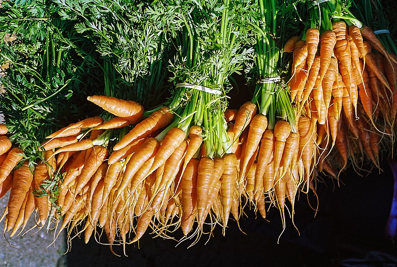 File:Bunches of carrots.jpg