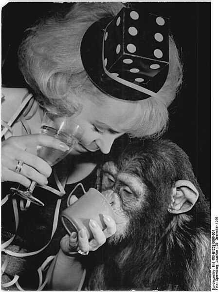 File:Bundesarchiv Bild 183-E1228-0006-001, Neujahrsfest im Tierpark.jpg