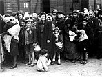 Bundesarchiv Foto 183-N0827-318, KZ Auschwitz, Ankunft ungarischer Juden.jpg