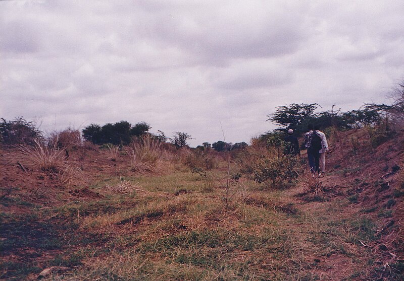 File:Bura Irrigation Supply Canal at Nanighi 1998.jpg