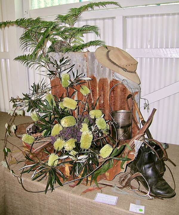 Icons of the Australian bush: bracken, corrugated iron, eucalyptus leaves, banksia, bramble, felt hat, billy, stockwhip and elastic-side boots