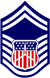 Cadet Senior Master Sergeant Insignien