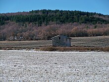 Cabanon dans un champ de lavande à Saint-Christol