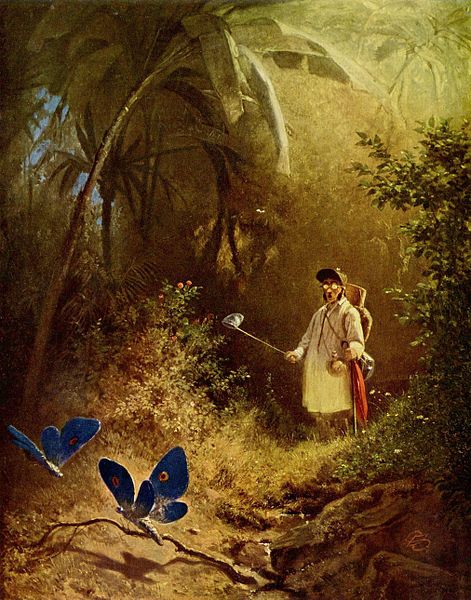 "The butterfly catcher", painting by Carl Spitzweg