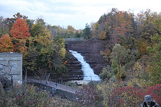 <span class="mw-page-title-main">Carlton, New York</span> Town in New York, United States