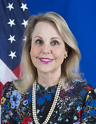 <span class="mw-page-title-main">Carrin Patman</span> American lawyer and diplomat