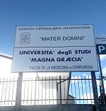 Semnul „Mater Domini” - Universitatea din Magna Græcia din Catanzaro.jpg