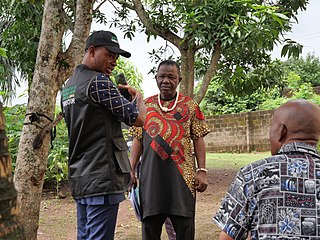 <span class="mw-page-title-main">Chiwetalu Agu</span> Nigerian actor (born 1956)