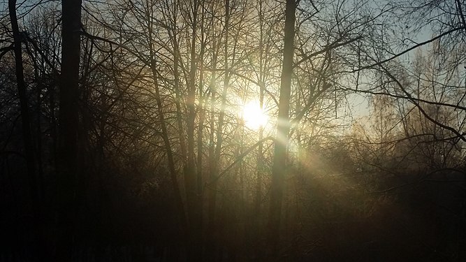 Christmas of Christ from 2015,Belarus