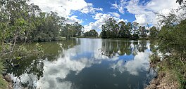 Clinches Pond, Moorebank 04.jpg