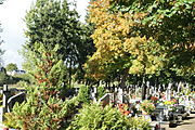 Category:Wiele cemetery - Wikimedia Commons