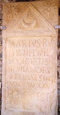 Tombstone of Marius son of Ructicnus. The inscription states that he was a miles (ranker) of the Alpine infantry regiment Cohors I Montanorum, who died in his 25th year of service (i.e. in the final year of the minimum term for an auxiliary and just before qualifying for Roman citizenship). His heir, who erected the stone, is named Montanus, the same ethnic name as the regiment's, meaning a native of the eastern Alps, most likely the origin of the deceased. Note (top corners) the Alpine edelweiss flowers, called stella Alpina ("Alpine star") in Latin. These were either a regimental symbol, or a national symbol of the Montani. The crescent moon-and-star motif between the flowers may be either a regimental emblem or a religious symbol. Date: 1st century, probably ante 68. From Carinthia, Austria CohMont1.jpg