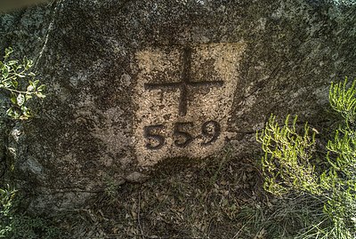 Creu frontera n° 559