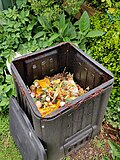 Caixa de compostagem com compost.jpg