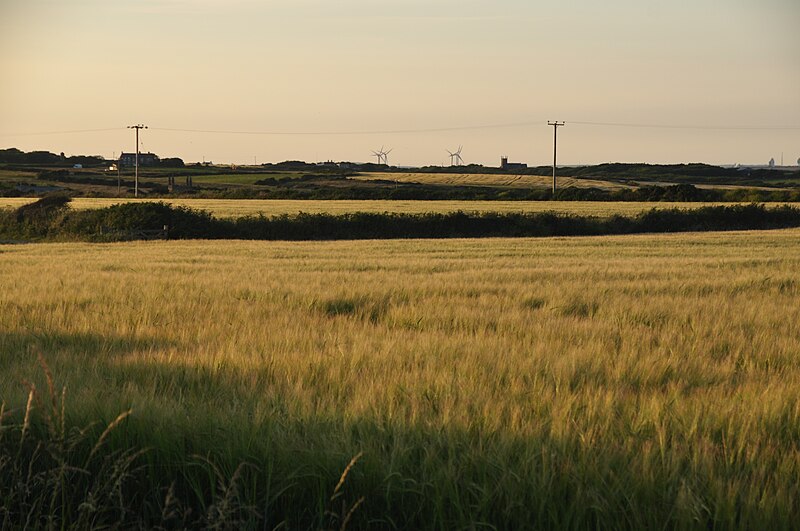 File:Cornwall , Countryside Scenery - geograph.org.uk - 4606631.jpg