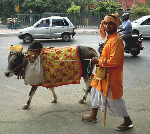 The Sacred Cow Diet, Delhi, India