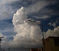 Cumulus congestus clouds