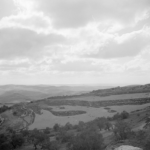 File:De vlakte Sharon in Israel gezien over de (toenmalige) grens tussen Jordanië en , Bestanddeelnr 255-5587.jpg