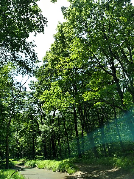 File:Decker ave to Fire Tower to Greyrun davis farm - panoramio (13).jpg