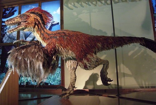 Deinonychus im NHM Wien.JPG