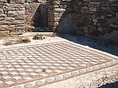 The mosaic floor of a house at Delos