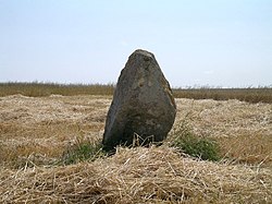 Illustrasjonsbilde av Menhir-artikkelen fra Demoiselle de Bracqueville