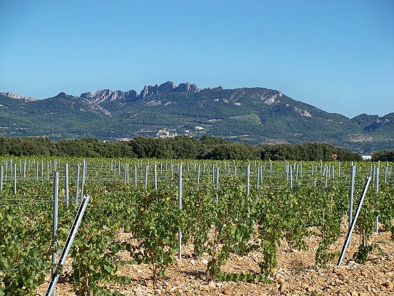 File:Dentelles de Montmirail vue du Plan de Dieu.JPG