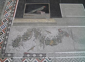 Detail of the Hellenistic mosaic floor panel of an Alexandrine parakeet from Pergamon, 2nd century BC, Pergamon Museum (8407011235).jpg