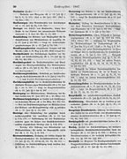 Deutsches Reichsgesetzblatt 1887 999 030.jpg