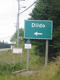 A road sign directing drivers towards Dildo.