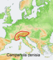 Distribution map Campanula cenisia.png