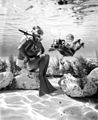 Diver and photographer at Cypress Gardens- Winter Haven, Florida (3364902101).jpg