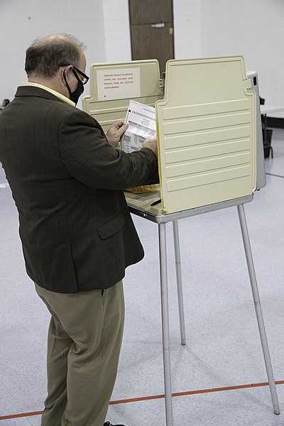 File:Duggan voting at Butzel Family Ctr.-2390 (50433528301).jpg