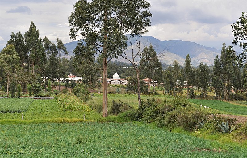 File:Ecuador Oyambaro agri landscape 02.jpg