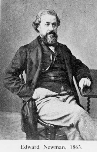 <span class="mw-page-title-main">Edward Newman (entomologist)</span> English entomologist, botanist and writer