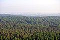 Deutsch: Blick über Hamburg-Eißendorf auf den Staatsforst Hamburg in Hamburg-Heimfeld, im Hintergrund Hamburg-Altenwerder.