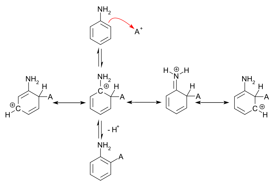resonance structures for ortho attack of an electrophile on aniline