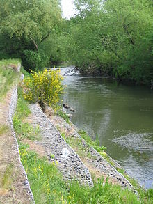 Gabions used to stabilize the bank of the River Esk, Lothian, Scotland Esk bank erosion.jpg