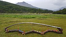 "Espiga del viento" - Ushuaïa, Argentine. Sculpture réalisée en bois de Nothofagus pumilio, (Lenga) Longueur 480 cm.