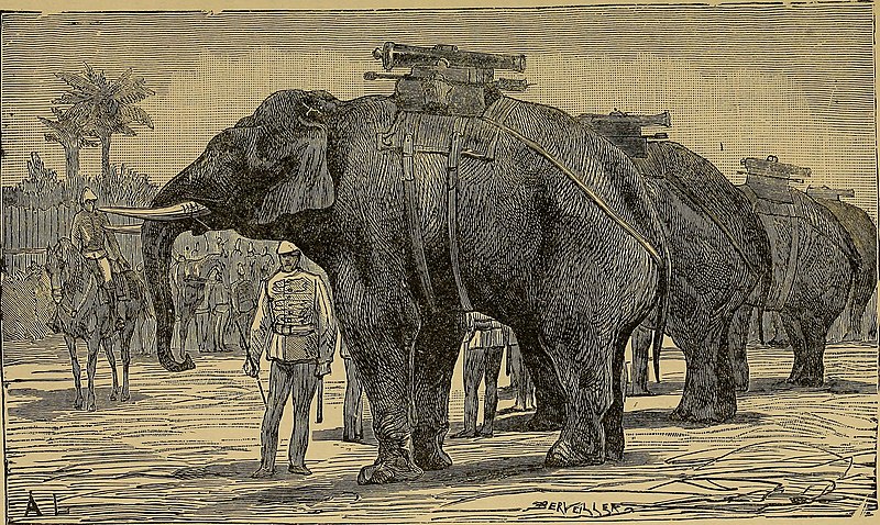 File:Explorations and adventures in the wilds of Africa; (1909) (14783704503).jpg