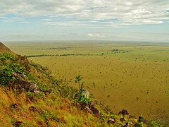 Los Llanos in Apure