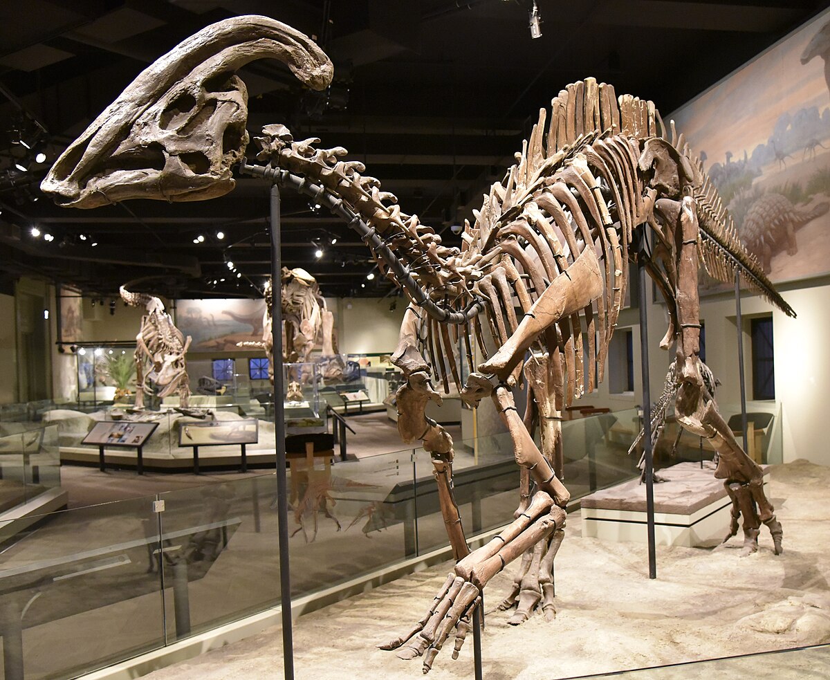 Image result for Parasaurolophus
