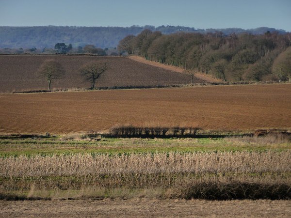 Farmland near Rogate