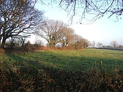 Feld in der Nähe von Tredaule - geograph.org.uk - 637643.jpg