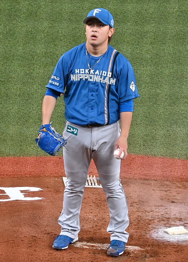 Hokkaido Nippon Ham Fighters, Japanese baseball team