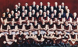 <span class="mw-page-title-main">1922 VFL season</span> 26th season of the Victorian Football League (VFL)