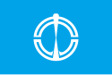 Nakayama – Bandiera