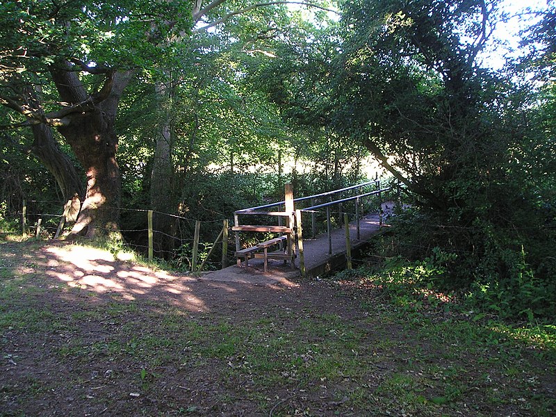 File:Footbridge and stile - geograph.org.uk - 2455814.jpg