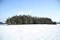 Čeština: Les s bunkrem u Vladislavi, okr. Třebíč. English: Forest near bunker near Vladislav, Třebíč District.